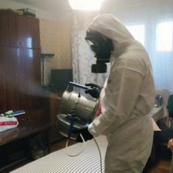 Дезинфекция от клопов в Куйбышеве