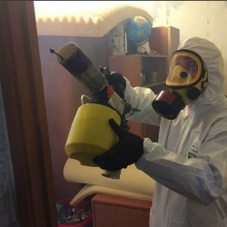Уничтожение клопов в квартире. Куйбышев